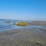 Heimathafen * Wilhelmshaven